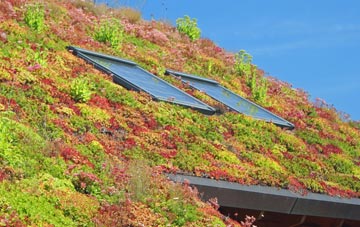 Croscombe living roof systems