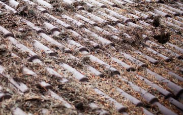 Croscombe roof cleaning companies