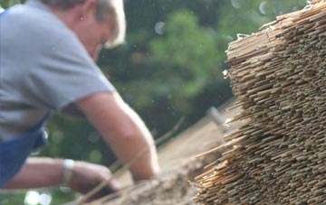 professional Croscombe thatchers